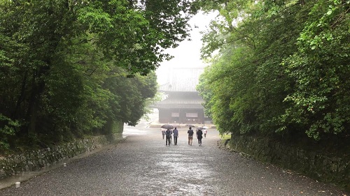 雨の下り参道