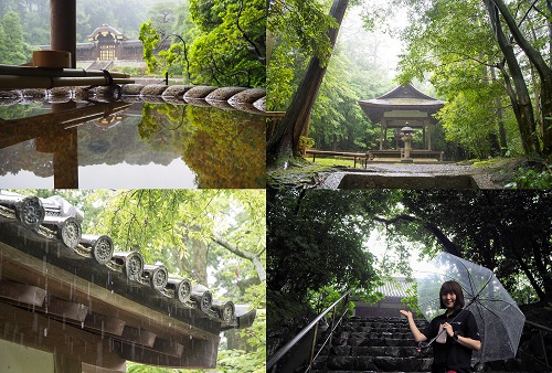 雨の中の泉涌寺