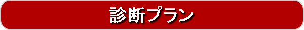 診断プラン